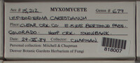 Image Associated With the Occurence